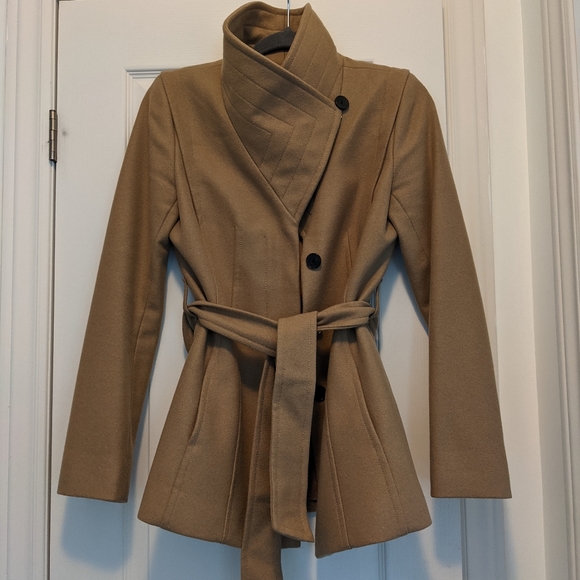 Aritzia Babaton coocon coat - Picture 3 of 3